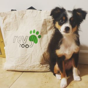 Puppy School Bag